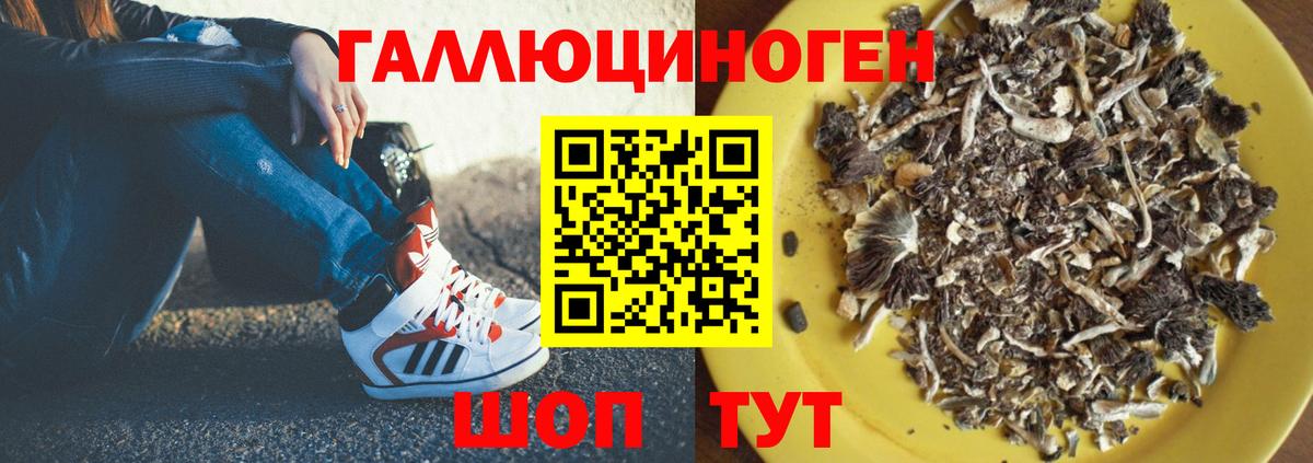 Псилоцибиновые грибы MAGIC MUSHROOMS  Галлюциногенные грибы Magic Shrooms  Валуйки  купить   Вход с VPN 